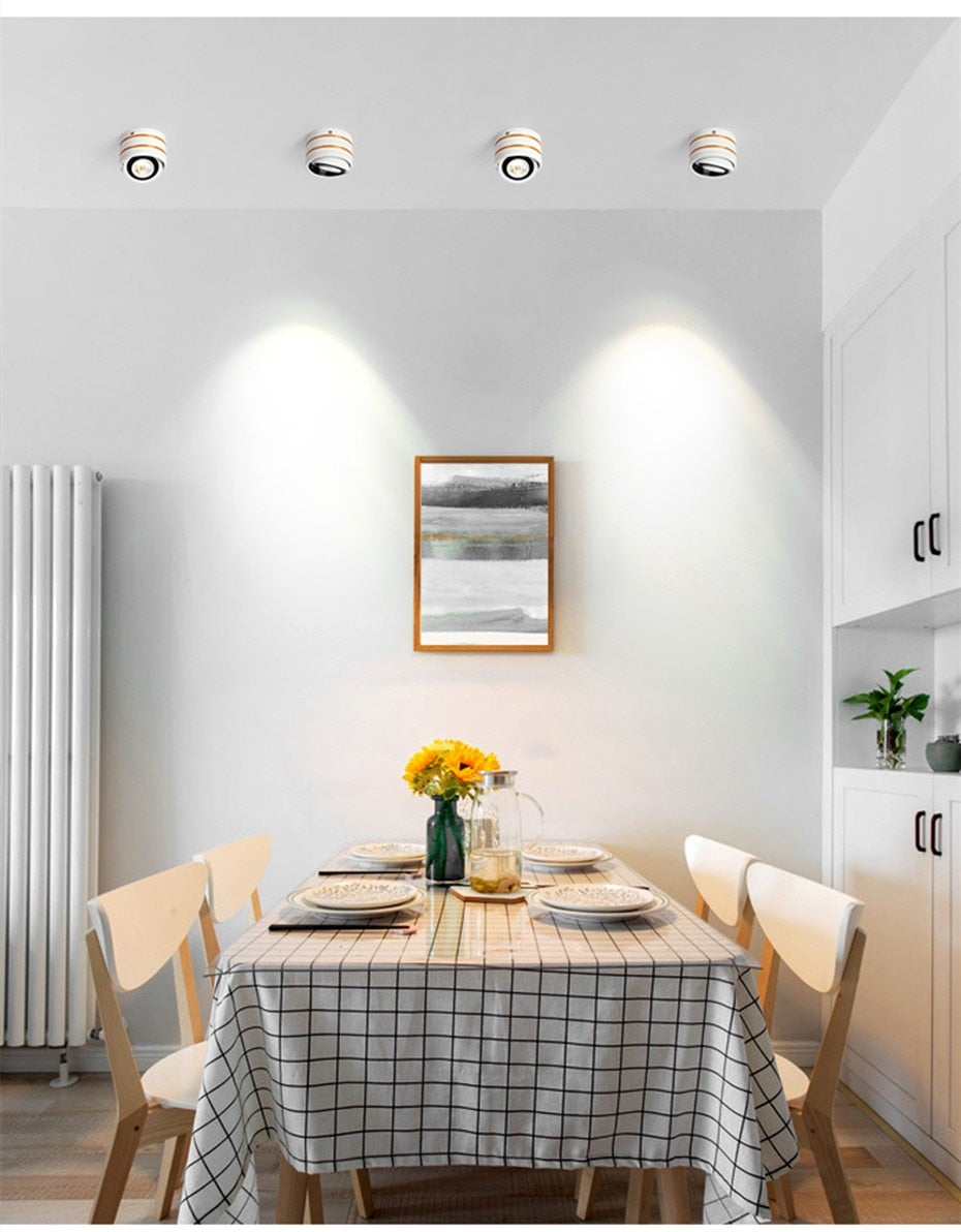 Surface Mounted LED Downlight lamp 360 Rotatable ceiling led lights 5W 7W 9W 15w cob led spot lights Ceiling Fixtures Lighting