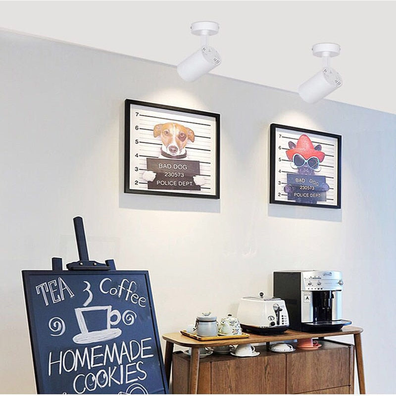 7w 10w 15w 20w 30w LED spotlight downlight surface mounted COB ceiling light spotlight clothing store showroom