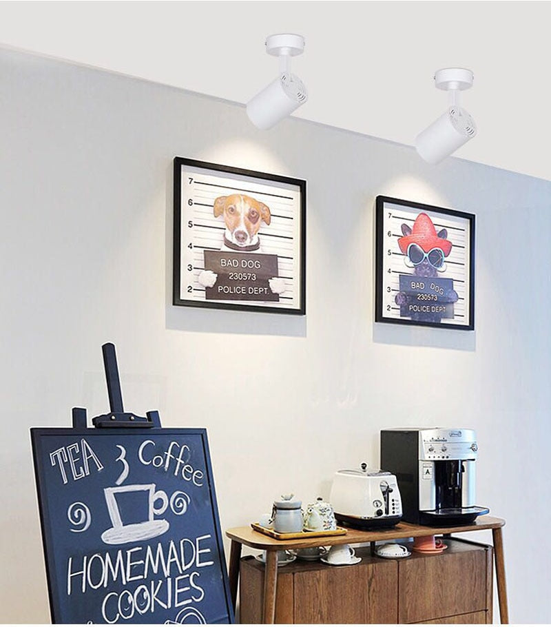 7w 10w 15w 20w 30w LED spotlight downlight surface mounted COB ceiling light spotlight clothing store showroom