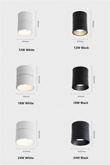 Surface Mounted Ceiling Light 12W 18W 24W Dimmable Downlight Warm Natural Cold White AC85-265V Indoor Home Lighting