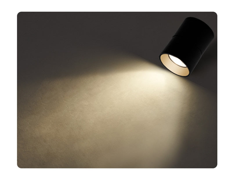 Surface Mounted Ceiling Light 12W 18W 24W Dimmable Downlight Warm Natural Cold White AC85-265V Indoor Home Lighting