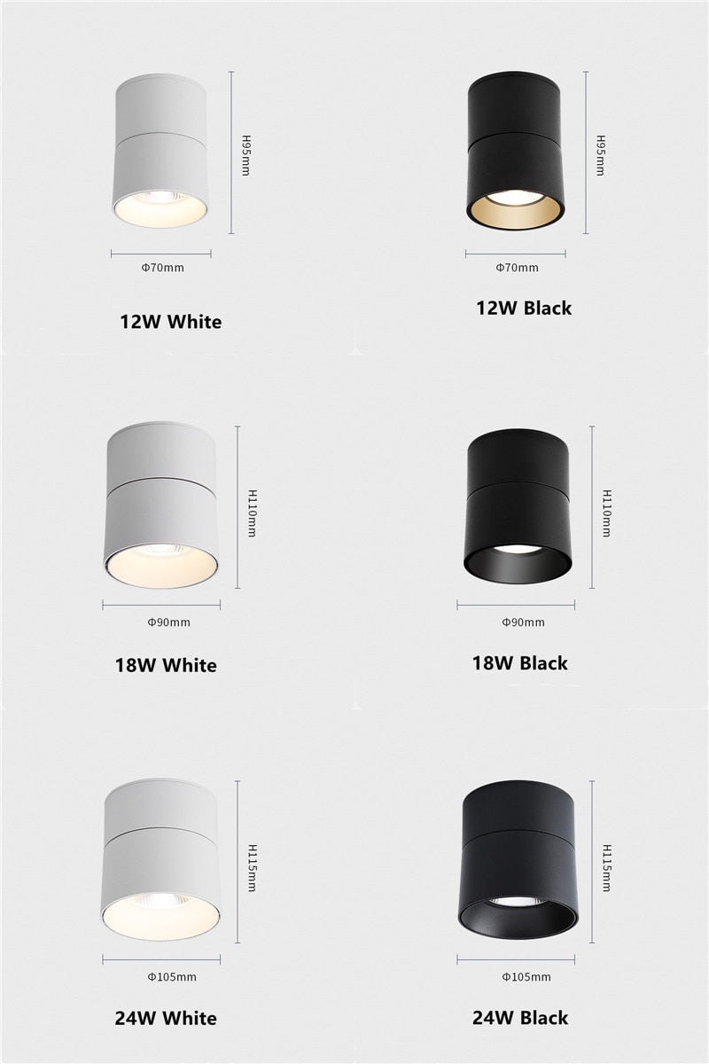 Surface Mounted Ceiling Light 12W 18W 24W Dimmable Downlight Warm Natural Cold White AC85-265V Indoor Home Lighting