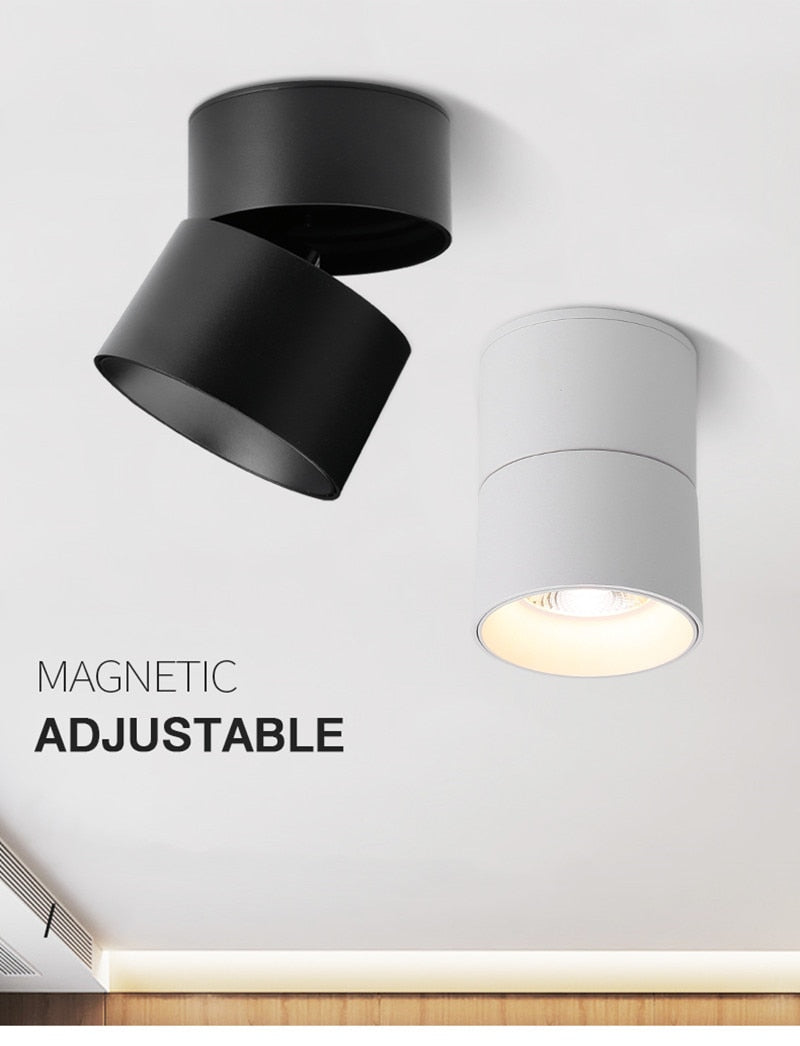 Surface Mounted Ceiling Light 12W 18W 24W Dimmable Downlight Warm Natural Cold White AC85-265V Indoor Home Lighting