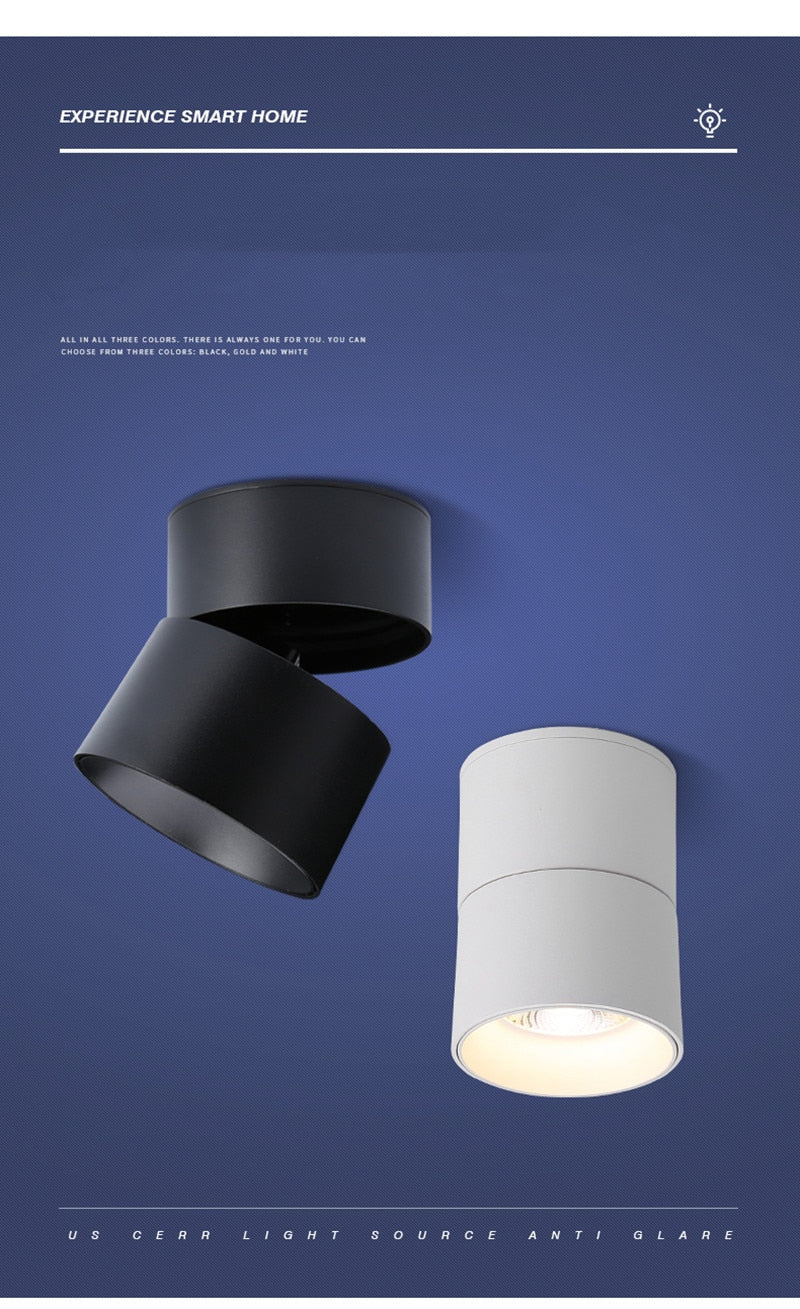 Surface Mounted Ceiling Light 12W 18W 24W Dimmable Downlight Warm Natural Cold White AC85-265V Indoor Home Lighting