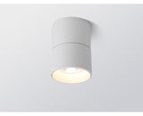 Surface Mounted Ceiling Light 12W 18W 24W Dimmable Downlight Warm Natural Cold White AC85-265V Indoor Home Lighting