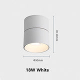 Surface Mounted Ceiling Light 12W 18W 24W Dimmable Downlight Warm Natural Cold White AC85-265V Indoor Home Lighting