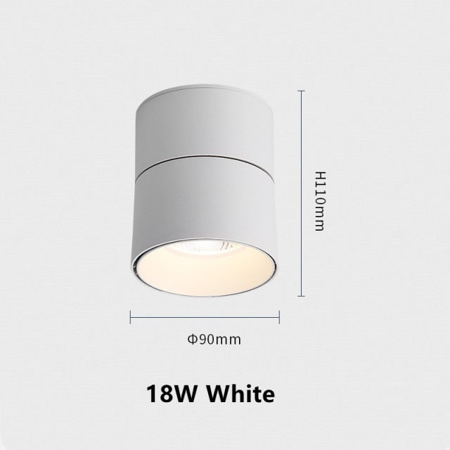 Surface Mounted Ceiling Light 12W 18W 24W Dimmable Downlight Warm Natural Cold White AC85-265V Indoor Home Lighting