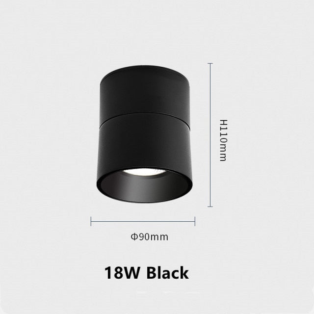 Surface Mounted Ceiling Light 12W 18W 24W Dimmable Downlight Warm Natural Cold White AC85-265V Indoor Home Lighting