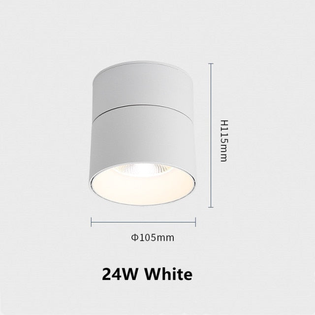Surface Mounted Ceiling Light 12W 18W 24W Dimmable Downlight Warm Natural Cold White AC85-265V Indoor Home Lighting
