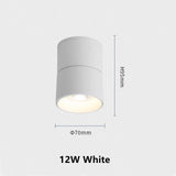 Surface Mounted Ceiling Light 12W 18W 24W Dimmable Downlight Warm Natural Cold White AC85-265V Indoor Home Lighting