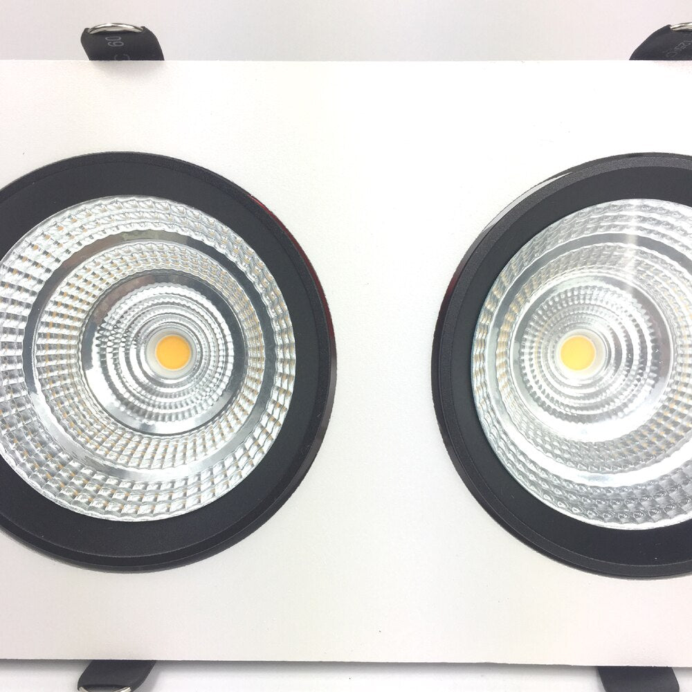 Adjustable 2 Lamps Panel Downlight 2x15W