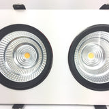 Adjustable 2 Lamps Panel Downlight 2x15W