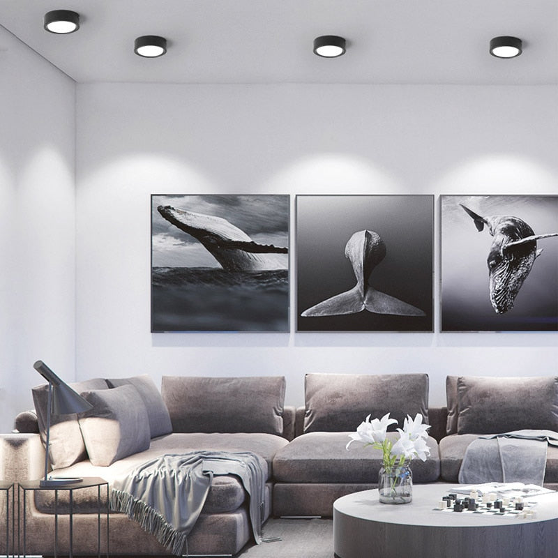 LED Downlight Surface Mounted 15W 18W 12W 7W 9W 5W Round Recessed Lamp 220V 230V for Bedroom Kitchen Indoor Spot Lighting