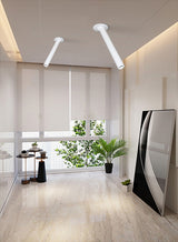 Dimmable LED ceiling spotlight 9W 12W 15W embedded ceiling lamp 110V 220V indoor lighting kitchen home improvement store lighting