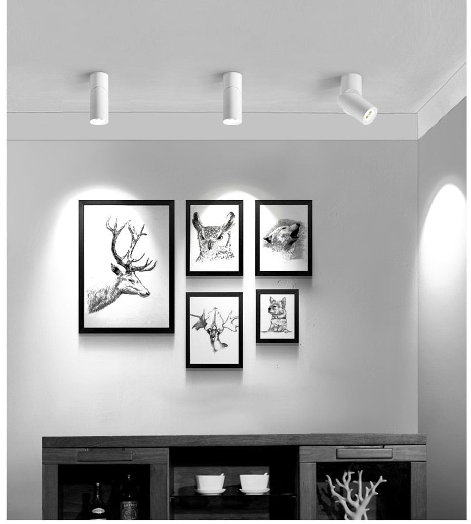 Surface Mounted Ceiling Downlight lamp Adjustable 360 degrees for ceiling led lights 7W 12W cob led spot lights Ceiling Fixtures