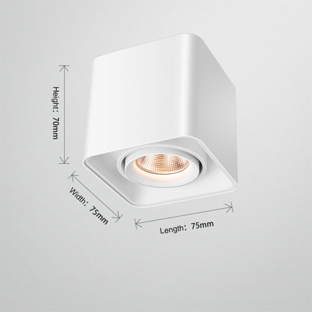 FLKL LED Downlight Ceiling Spotlights Living Lamp Nordic Lighting For Kitchen Aisle Spot Light Surface Mounted AC90-250V