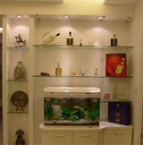 LED Spotlights 1W Mini AC85-265V 100PCS Recessed Light Led Downlight Jewelry Cabinet Lamp LED Mini Spotlight Lamp