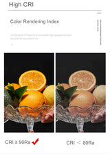 LED Downlights Anti Galre 2 Head Ceiling Spot Light 14W 24W 30W 40W for Kitchen Bedroom Living room AC110V 220V Frame Changeable