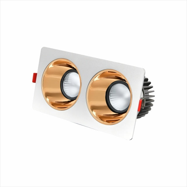 LED Downlights Anti Galre 2 Head Ceiling Spot Light 14W 24W 30W 40W for Kitchen Bedroom Living room AC110V 220V Frame Changeable
