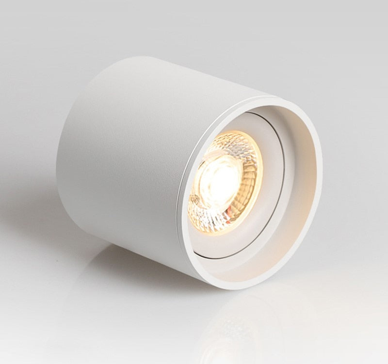 Dimmable round LED Downlights Surface Mounted COB 7W/9W/12W/15W/18W/20W LED Spot lights decoration Ceiling Lamp AC85- 265V