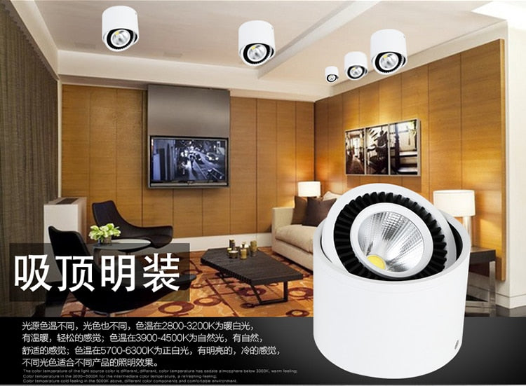 DHL Free 10pcs Surface Mounted COB LED Downlight 5W 7W 9W 15W Down Light LED Spot light lamp AC85-265V Warm/Natural/Cold White