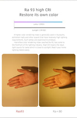 LED Recessed Ceiling Downlight 14W 7W LED Spot lighting Anti-Glare COB Spot light Indoor Lighting