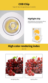 Led Downlight COB Ceiling Spot Light 12W 15W Ceiling Recessed Round Ceiling Lamp AC 220V-240V Indoor Lighting