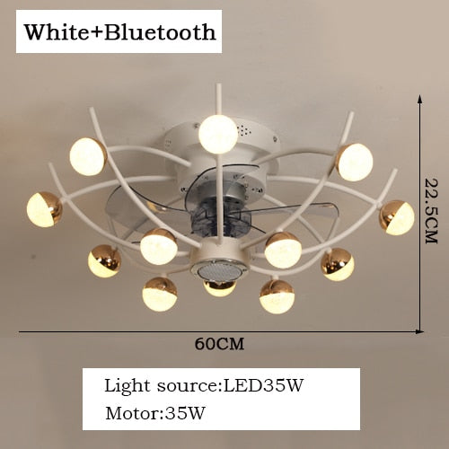 Intelligent creative ceiling fan lamp electric fan with lamp remote control bedroom decoration dining room lamp living room