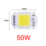 COB LED Lamp Chip AC 110V 220V 10W 20W 30W 50W LED Beads Lamp Box No Need Driver for Flood Light Spotlight Downlight Lighting