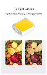 LED downlight Nordic four-head downlight 28W indoor home lighting fixtures adjustable angle ceiling light