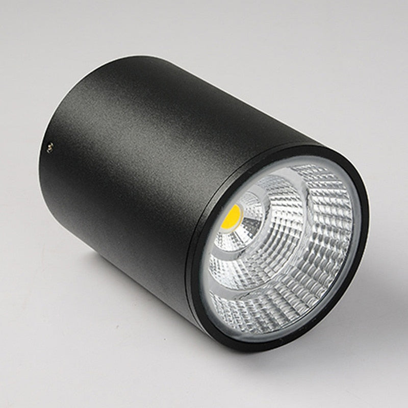 Surface Mounted Led Downlight Ceiling Spot Light 5-20W Brightness AC85-265V Outdoor Hotel Home Indoor Lighting Waterproof IP65