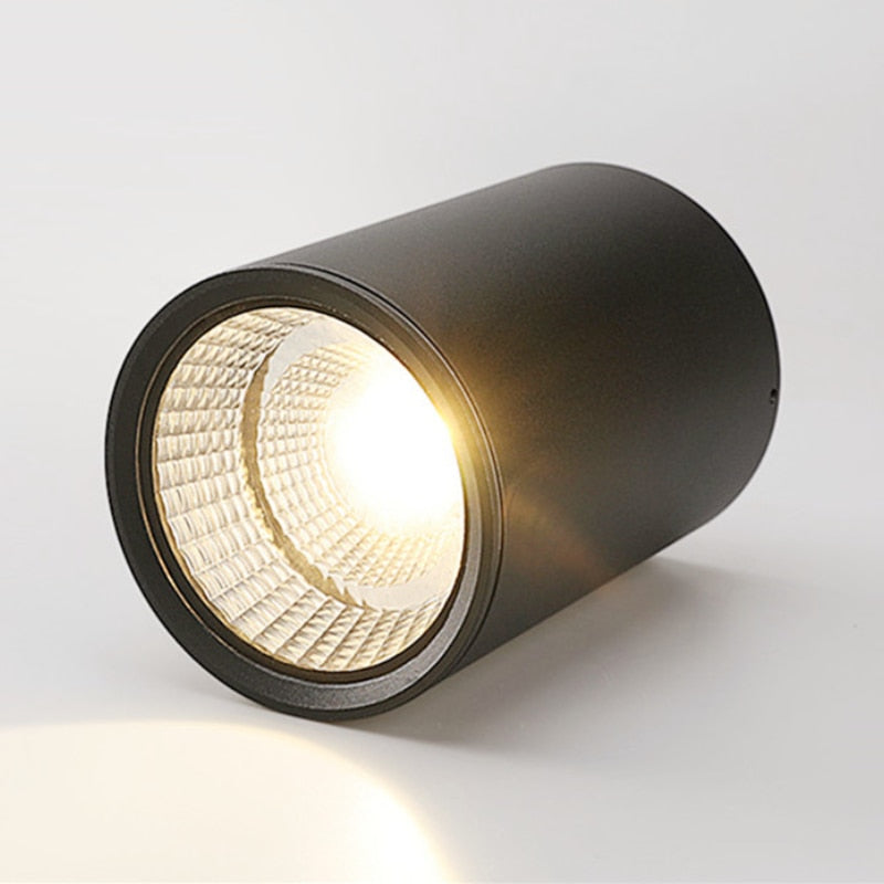 Surface Mounted Led Downlight Ceiling Spot Light 5-20W Brightness AC85-265V Outdoor Hotel Home Indoor Lighting Waterproof IP65