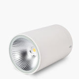 Surface Mounted Led Downlight Ceiling Spot Light 5-20W Brightness AC85-265V Outdoor Hotel Home Indoor Lighting Waterproof IP65