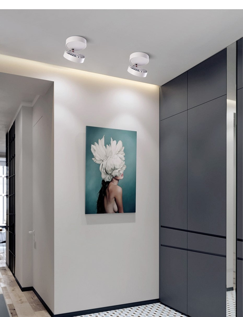 Ultra-Thin Led Downlight 360 Angle Adjustable Ceiling Spot Light 3W 5W 7W Surface mounted ceiling downlight AC220V Indoor Lights