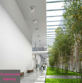 Surface Mounted Ceiling Downlights dimmable 7W 9W 14W 18W 28w 36w AC85-265V lamp COB Dimmable LED Downlights Ceiling Spot lights