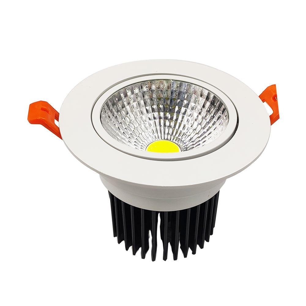 Recessed LED Downlight 3W 5W 7W 10W 12W 15W 20W 24W Spot LED DownLights Dimmable AC85-265V 220V 110V LED Spot Light