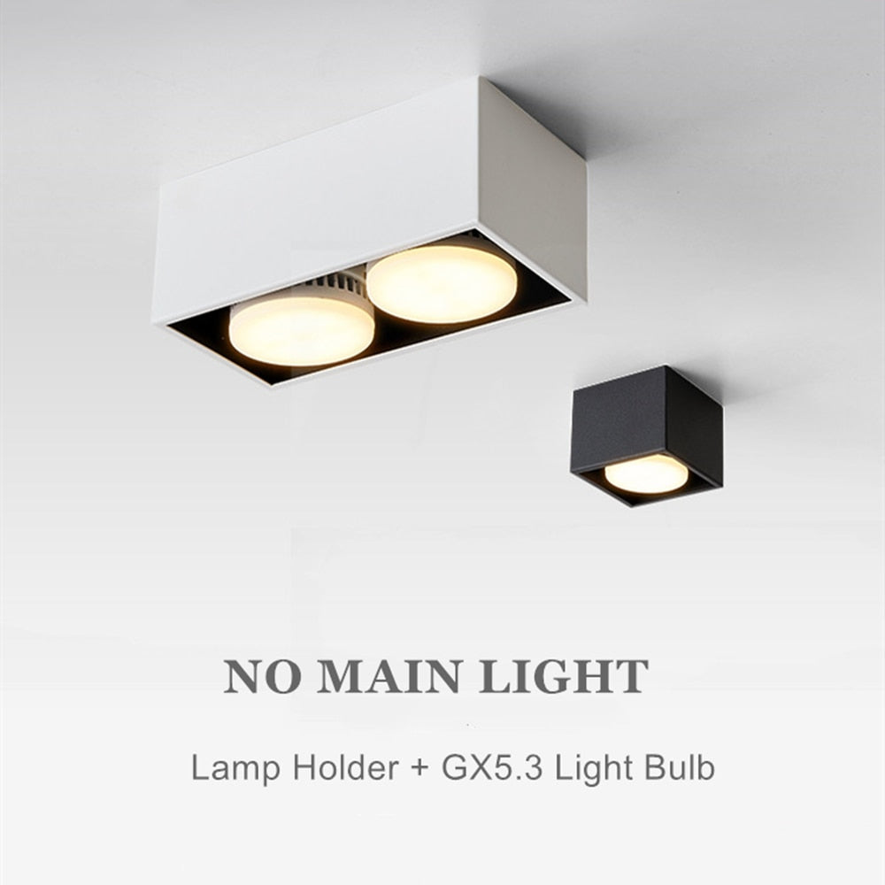 DBF Angle Adjustable 1 / 2 Heads Surface Mounted Downlight Holder with GX5.3 Bulb for Living room Bedroom TV Background Indoor Spot