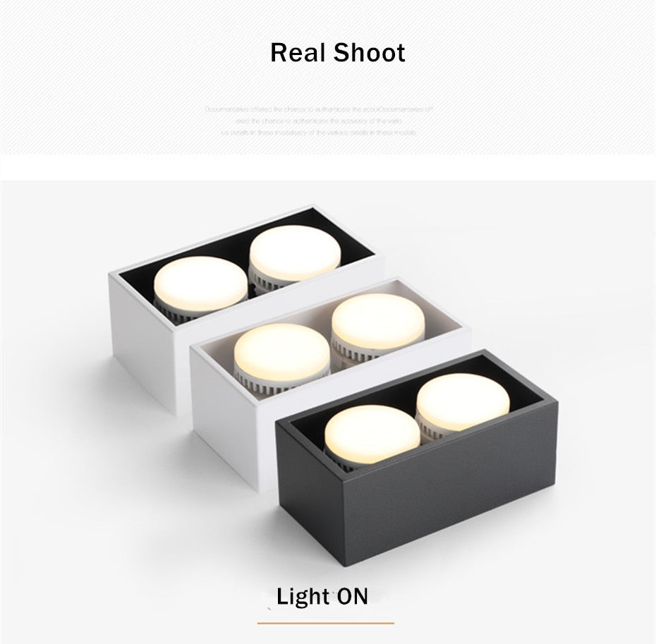 DBF Angle Adjustable 1 / 2 Heads Surface Mounted Downlight Holder with GX5.3 Bulb for Living room Bedroom TV Background Indoor Spot