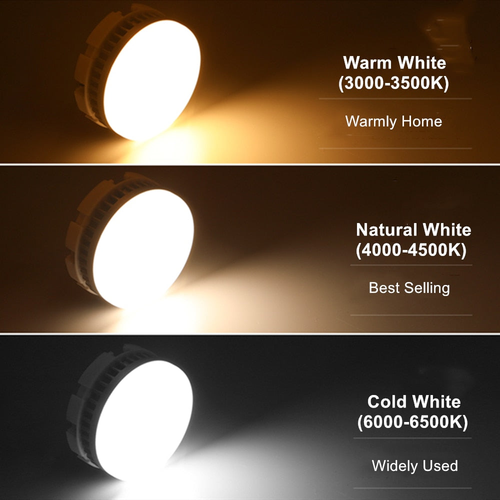 DBF Angle Adjustable 1 / 2 Heads Surface Mounted Downlight Holder with GX5.3 Bulb for Living room Bedroom TV Background Indoor Spot