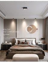 DBF Angle Adjustable 1 / 2 Heads Surface Mounted Downlight Holder with GX5.3 Bulb for Living room Bedroom TV Background Indoor Spot