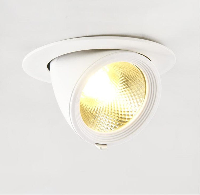 Dimmable Embedded Retractable LED Downlights 10W 20W 30W AC85-265V Adjustable 360° COB LED Ceiling Spot Lights Indoor Lighting
