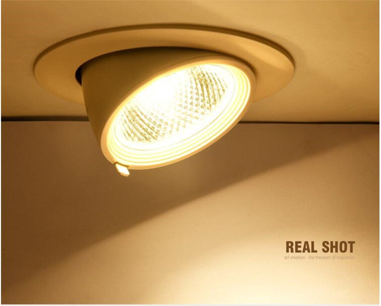 Dimmable Embedded Retractable LED Downlights 10W 20W 30W AC85-265V Adjustable 360° COB LED Ceiling Spot Lights Indoor Lighting