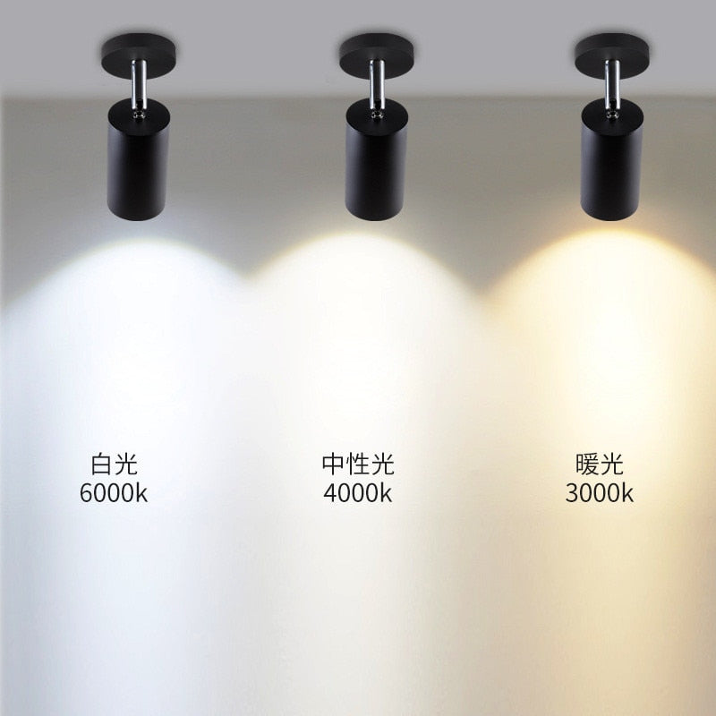 Surface Mounted 360 degree Rotation 9W LED Ceiling light Kitchen Bathroom LED COB Downlights 3000K/4000K/6000K Dimmable