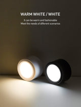 LED Downlight 10W 15W Surface Mounted LED Ceiling Lamps COB Spot Light AC85-265V Needs Driver Indoor Home Decoration Lighting