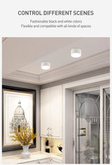 LED Downlight 10W 15W Surface Mounted LED Ceiling Lamps COB Spot Light AC85-265V Needs Driver Indoor Home Decoration Lighting