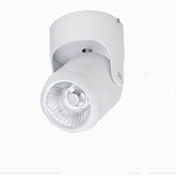 LED 10pcs Surface Mounted COB LED Downlight 10W 20W Spot Down Light LED Spot light lamp AC85-265V Warm/Natural/Cold White