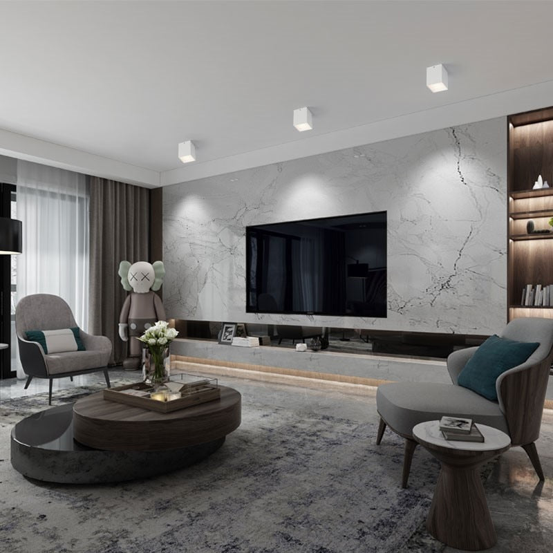 white Black High quality Surface Mounted  LED COB dimmable Downlights 9W/15W/18W/2X9W/2X15W/2X18WLED Ceiling Lamp Spot