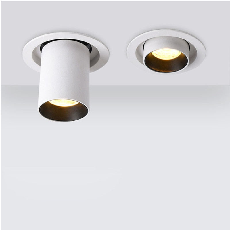 Angle Adjust 360° Rotate Stretchable LED Recessed Downlight 12W 15W 20W 25W LED Ceiling Spot Light Kitchen Living room Indoor