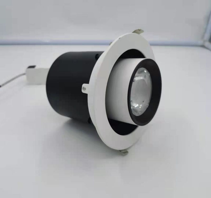 Angle Adjust 360° Rotate Stretchable LED Recessed Downlight 12W 15W 20W 25W LED Ceiling Spot Light Kitchen Living room Indoor