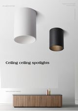 SaiyoLED Downlight Ceiling Spotlights Living Lamp Nordic Lighting For Kitchen Aisle Spot light Surface mounted AC90-260v